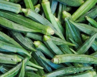 Semi Di Gombo (Okra) Perkins Long Pod &ndash; 25 Semi Cimelio Per Orto Estivo &ndash; Facile Da Coltivare