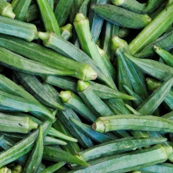 Perkins Long Okra Seeds | Heirloom | Organic