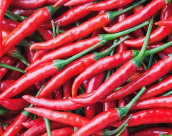 Sweet Cayenne Pepper Seeds | Heirloom | Organic