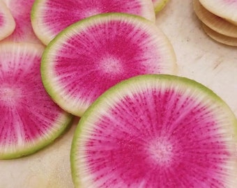 Watermelon Radish Seeds | Heirloom | Organic