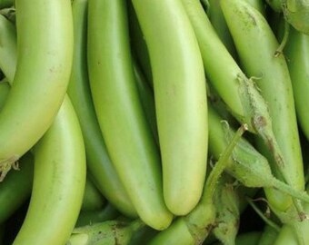 Semences d'aubergines vertes Fingers | Variété ancienne | Biologique