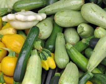 Summer Squash Mix | Organic | Seeds