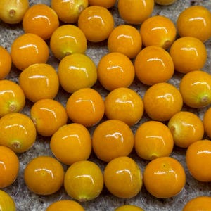 May include: A close-up of a group of small, bright yellow, round fruits. The fruits are arranged in a random pattern on a light grey surface.