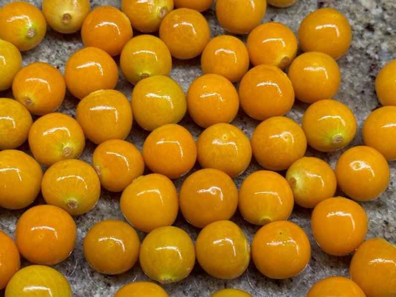 May include: A close-up of a group of small, bright yellow, round fruits. The fruits are arranged in a random pattern on a light grey surface.