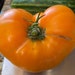 see more listings in the Tomato Seeds section