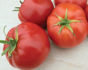 Quarter Century Tomato Seeds | Heirloom | Organic