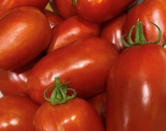 San Marzano 2 Tomato Seeds | Organic