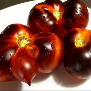 Indigo Apple Tomato Seeds | Organic