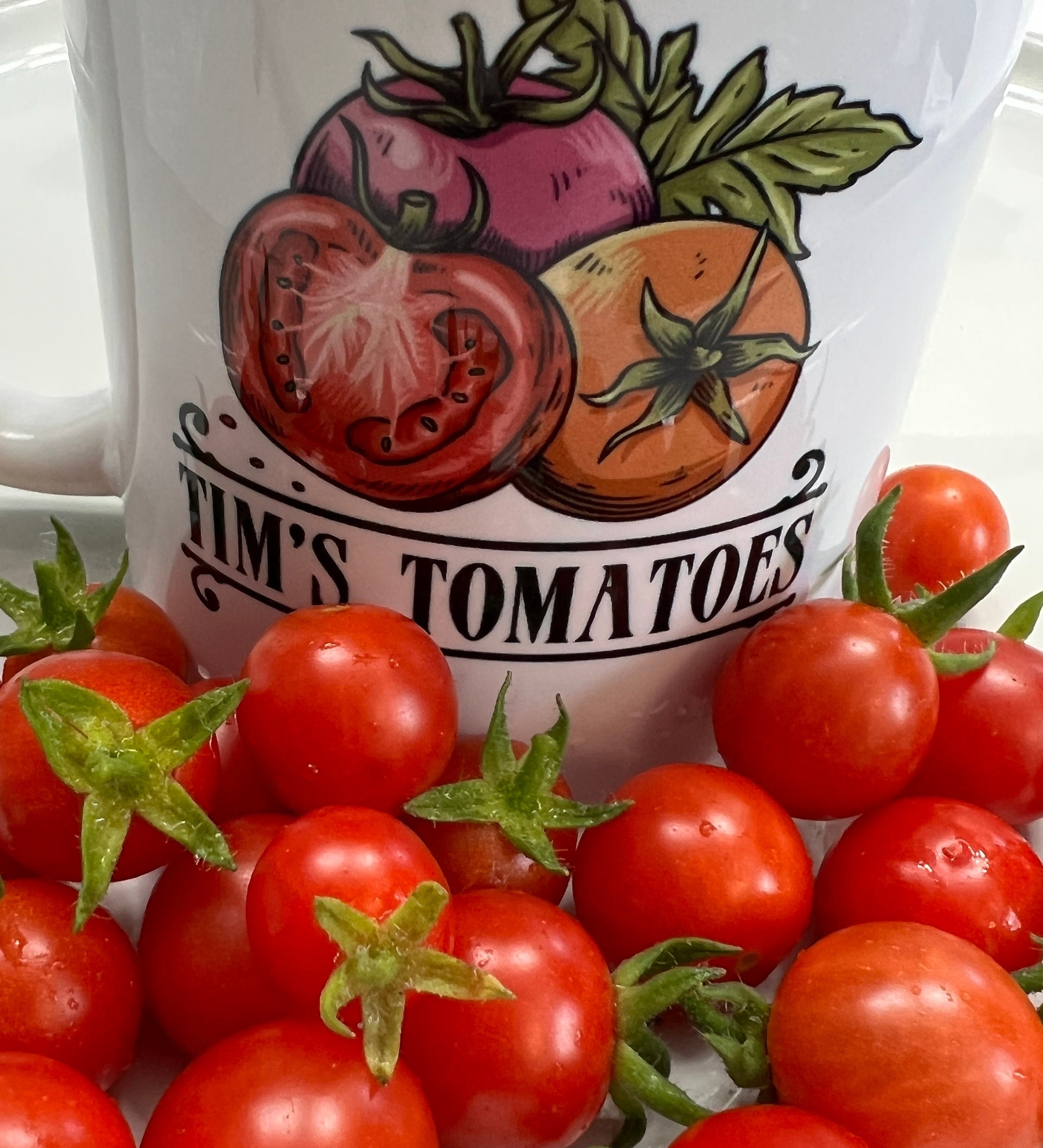 未使用 organic zoo トマト セット organic zoo - Tomato Classic T-shirt | UANDEL