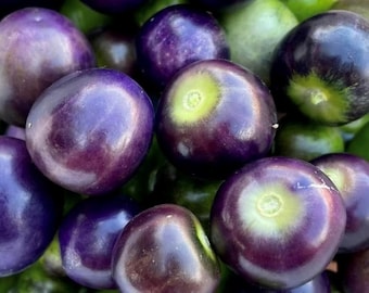 Really Purple Tomatillo Seeds