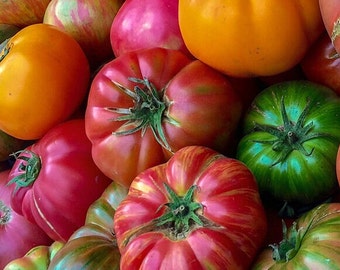 Heirloom Beefsteak Mix | Tomato Seeds | Heirloom | Organic