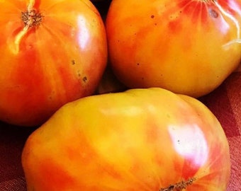 Pineapple Tomato Seeds | Heirloom | Organic