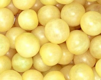 White Cherry Tomato Seeds | Heirloom | Organic