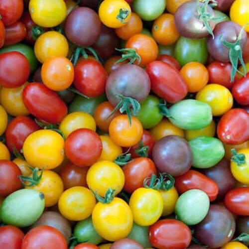 Heirloom Cherry Tomato Mix Heirloom Organic Etsy