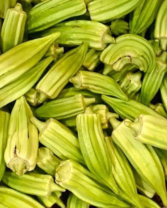 Semi Di Okra Biologici – Varietà Antica Da Giardino, 200 Semi Per Orto E Vaso