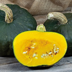 Burgess Buttercup Winter Squash Seeds | Heirloom | Organic