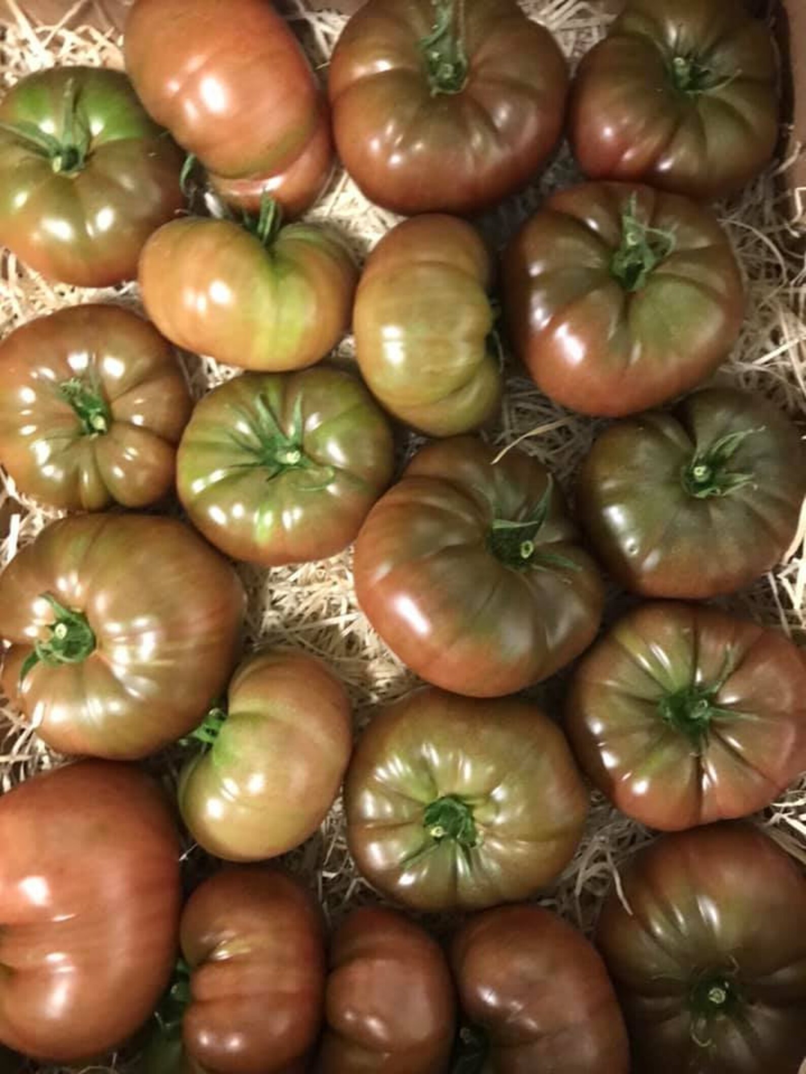 20 Seeds Ananas Noire / Black Pineapple Tomato Heirloom Etsy UK