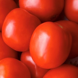 May include: A close-up of a group of red tomatoes. The tomatoes are arranged in a pile, with some overlapping. The tomatoes are all ripe and have a smooth, shiny skin.