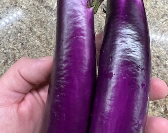 Ping Tung Eggplant Seeds | Heirloom