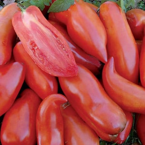 Op de afbeelding: Een close-up van een stapel rode, langwerpige tomaten. De tomaten zijn glad en hebben een glanzende afwerking. Sommige van de tomaten zijn doormidden gesneden, waardoor hun sappige, rode vruchtvlees zichtbaar is.
