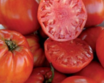 Kanner Hoell Tomato Seeds | Heirloom | Organic