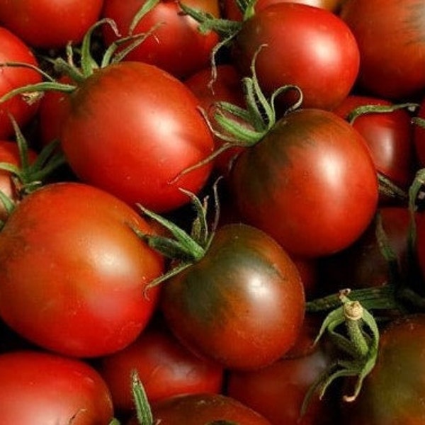 De Berao Braun Tomato Seeds | Heirloom | Organic