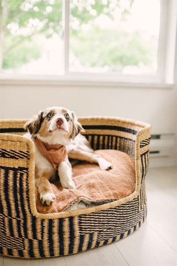Pet Bed Handmade Dog Bed Cat Basket Custom Pet Bed Large Dog Bed Dog Bed Furniture Handmade Puppy Bed Woven Dog Bed Etsy