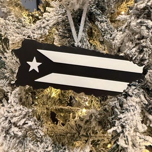 Boricua 3D Print – Coffee Pot & Rice Cooker | Puerto Rican Home Decor Mapa ornament
