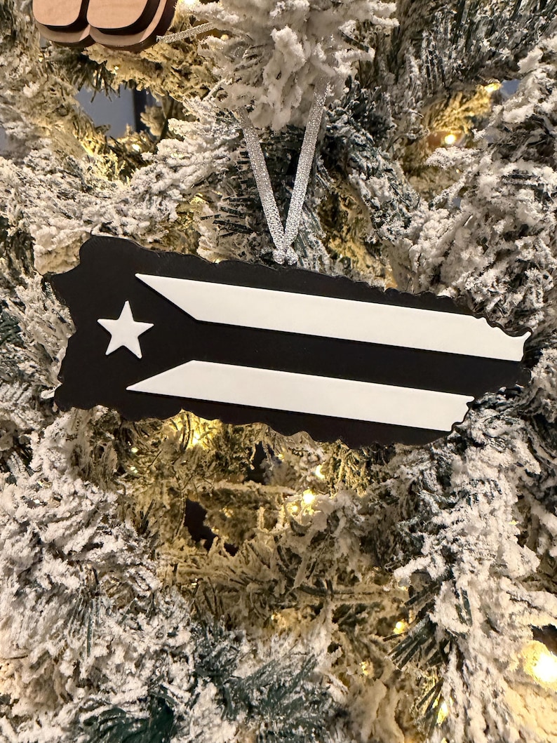 Boricua 3D Print – Coffee Pot & Rice Cooker | Puerto Rican Home Decor Mapa ornament