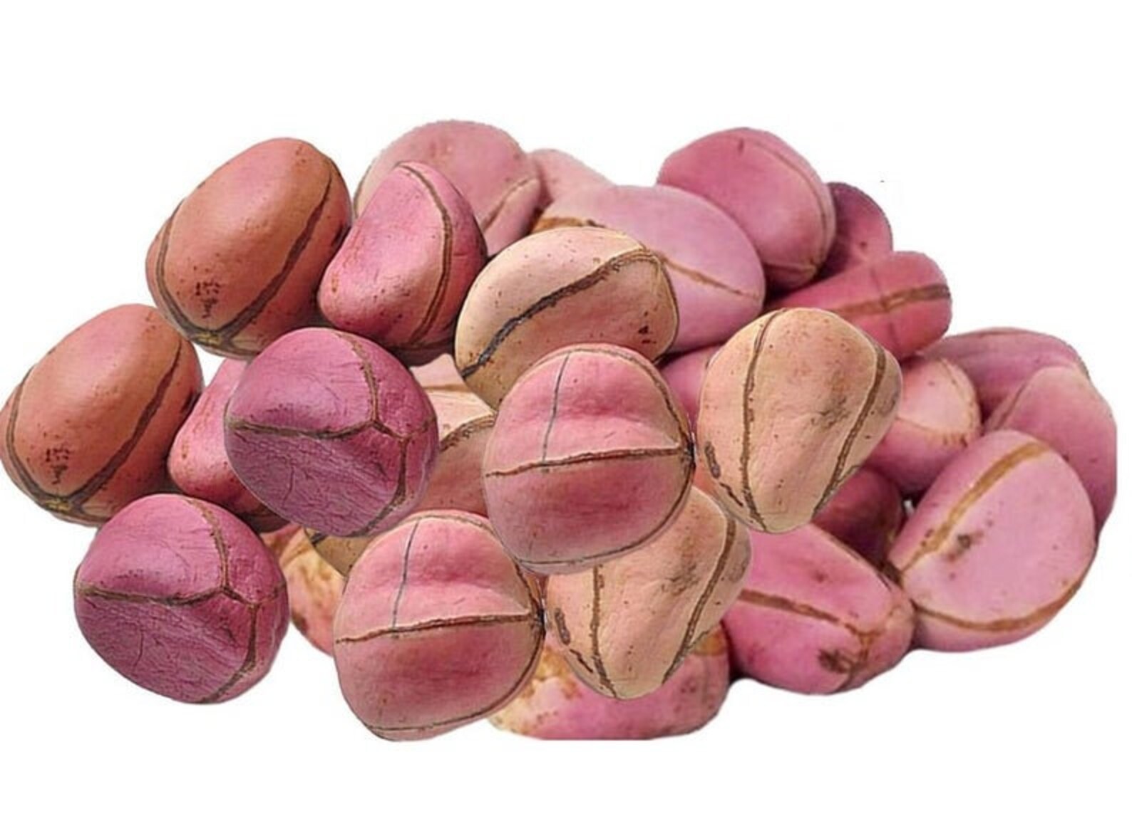 20 pieces of Kola Nut Obi Abata WHOLESALE DEAL AVAILABLE Etsy