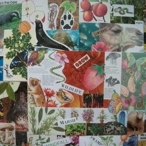 5 A4 Nature Flora and Fauna Themed Collage Masterboard Sheets Backgrounds Digital Download Pages for Junk Journals