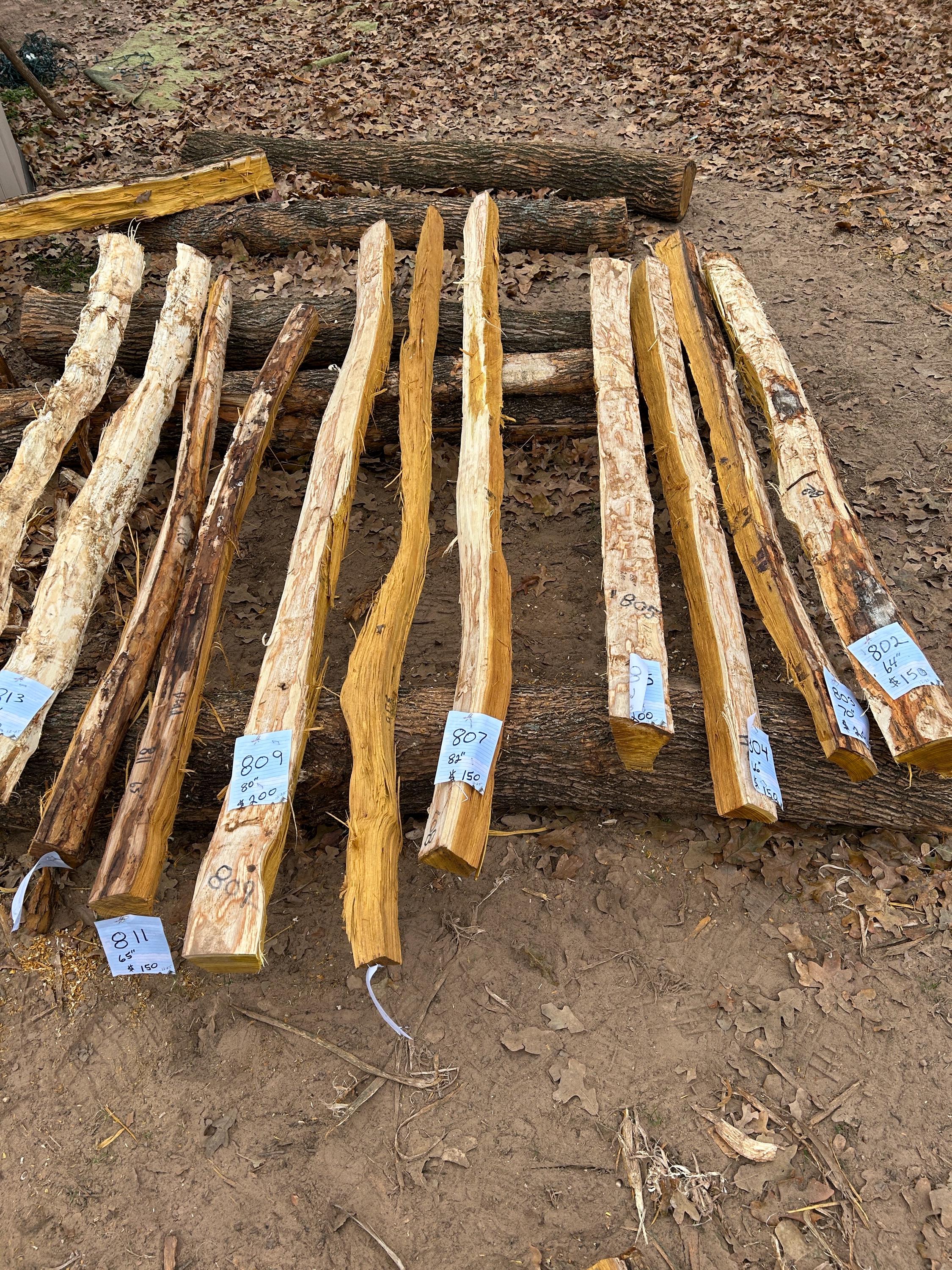 Lamelle Pour Arc En Bois D'orange Osage Assaisonné - Premium - Ambidextre