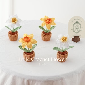 May include: Crocheted daffodil flowers in small brown pots. The flowers are yellow and white with green leaves. The image includes a card that says "Best Wishes For You". The text "Little Crochet Flower" is also in the image.