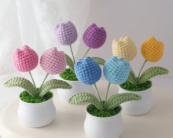 Fleur au crochet en pot, fait main, cadeau personnalisé pour professeur, décoration de maison, tulipe rose, décoration de bureau, tulipe en pot, bouquet de tulipes