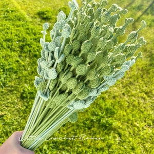 May include: A bundle of handmade crochet flowers in various shades of green. The flowers have a textured, detailed appearance, with small, round buds at the tips of the stems. The stems are tightly bound together, and the background is a blurred green lawn. The text "Little Crochet Flower" is visible.