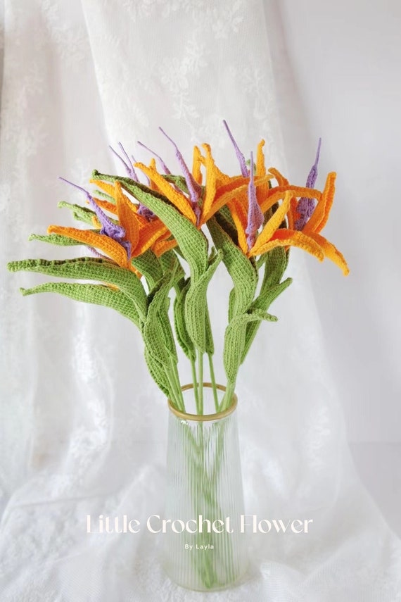 Crochet Strelitzia Reginae, 1 Live Plant Bird of Paradise, Hand Made,  Personalized Gift for Girl Friend, Home Decor Bouquet - Etsy