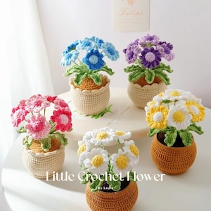 Crochet daisy in the pot, hand made, personalized gift, home decoration, office decoration, knitted daisy,  office flower, crochet daisy