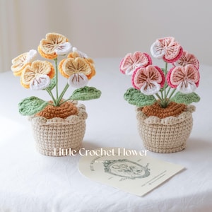 Gehäkeltes Stiefmütterchen im Topf, handgemachte Nelke, personalisiertes Geschenk für Mutter, Wohndekoration, gestrickte Nelke Blume, Geschenk für sie