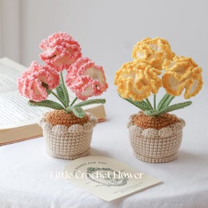 Puede incluir: Dos arreglos florales de ganchillo en macetas beige. Uno tiene flores rosas, el otro amarillas. Las flores tienen detalles blancos. Las macetas tienen un borde festoneado. Una tarjeta dice "Little Crochet Flower".