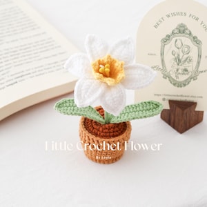 K&ouml;nnte beinhalten: Handgefertigte H&auml;kelblume in einem kleinen Topf. Die wei&szlig;e Blume hat eine gelbe Mitte und gr&uuml;ne Bl&auml;tter. Der Topf ist braun. Der Text "Little Crochet Flower" ist sichtbar.