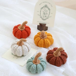 crochet Pumpkins, knit pumpkins, Set of 5, fall pumpkin decor, Halloween decor, Thanksgiving decor, colorful pumpkins, handmade pumpkins