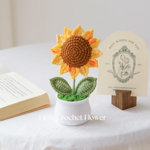 May include: A crocheted sunflower in a white pot with green leaves and a brown center. The sunflower has yellow and orange petals. The pot sits on a white surface. A card with the text "Best Wishes For You" is in the background.