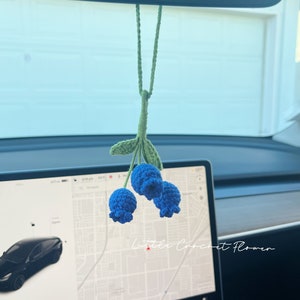 K&ouml;nnte beinhalten: Ein blauer und gr&uuml;ner geh&auml;kelter Blaubeer-Anh&auml;nger, der an einem R&uuml;ckspiegel in einem Auto h&auml;ngt. Der Anh&auml;nger ist an einer gr&uuml;nen Schnur befestigt. Der Text "Little Crochet Flower" ist auf dem Bild zu sehen.