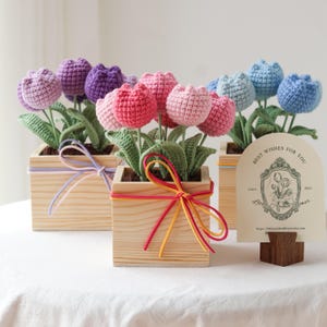 May include: Crocheted tulip flowers in wooden square planters. The tulips are in shades of pink, purple, and blue, with green leaves. Each planter is decorated with a colorful ribbon. A card with text "Best Wishes For You" is also present.