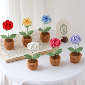 Crochet flower in pot, hand made, personalized gift for teacher, home decoration, heart, carnation, desk decoration, rose in pot