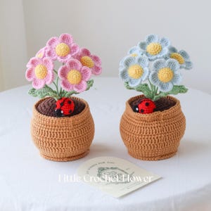 May include: Two crocheted flower pots with a ladybug on each. The flowers are pink and blue. The pots are brown and have a crocheted texture.