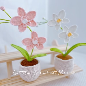 May include: Two crocheted orchid plants in white pots. One plant has pink flowers and the other has white flowers. The plants are on a wooden shelf with the text "Little Crochet Flower" visible.