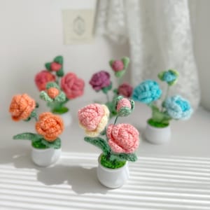 Crochet mini rose in the pot, hand made personalized gift, desk decoration, home decoration knitted flower crochet rose, birthday gift