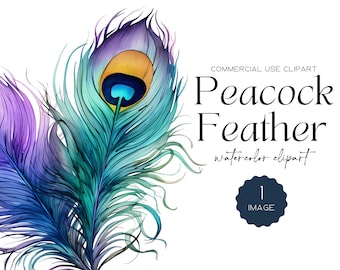 Peacock Feather Clipart Watercolor Colorful Feathers Bird Clip Art Gorgeous Peacock Clipart Digital Download Peacock Png Peacock Cut Files
