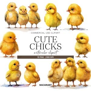 Niedliche Küken Clipart Lustige Huhn Clipart Aquarell Hühner PNG Aquarell Ostern Clipart Baby Tiere Instant Download Sublimation Png